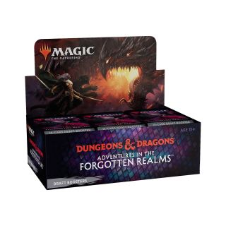 Aventuras en Forgotten Realms: Expositor sobres draft (Inglés)