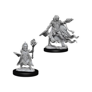 Pathfinder Unpainted Miniatures: Evil Wizards (72586)