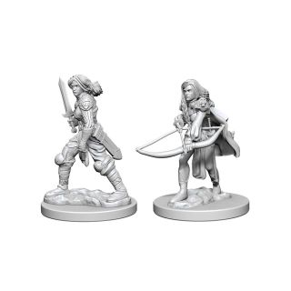 Pathfinder Deep Cuts Unpainted Miniatures: Human Female Fighter (72597)