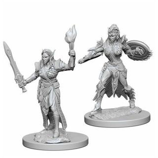 Pathfinder Deep Cuts Unpainted Miniatures: Elf Female Fighter (72599)