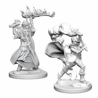 Pathfinder Deep Cuts Unpainted Miniatures: Human Female Cleric (72601)