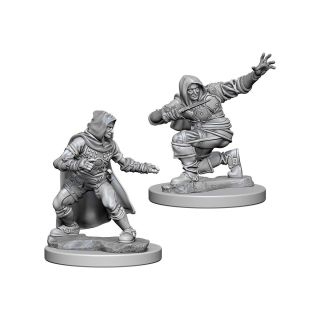 Pathfinder Deep Cuts Unpainted Miniatures: Human Male Rogue (72602)
