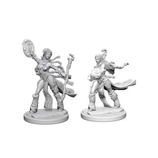 Pathfinder Deep Cuts Unpainted Miniatures: Human Female Sorcerer (72604)