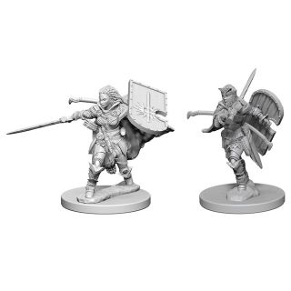 Pathfinder Deep Cuts Unpainted Miniatures: Human Female Paladin (72607)