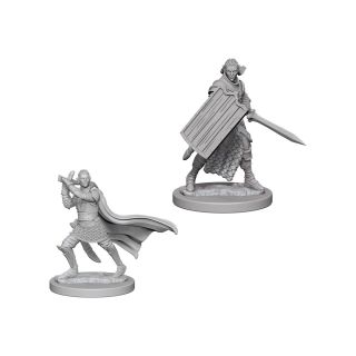 Pathfinder Unpainted Miniatures: Elf Male Paladin (72608)