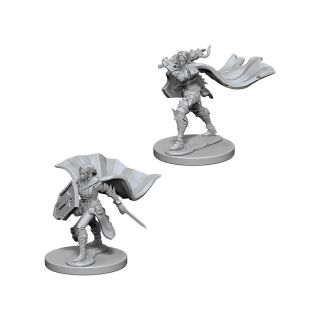 Pathfinder Battles™ Deep Cuts™ Unpainted Miniatures: Elf Female Paladin (72609)
