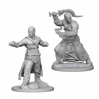 Pathfinder Deep Cuts Unpainted Miniatures: Human Male Monk (72612)