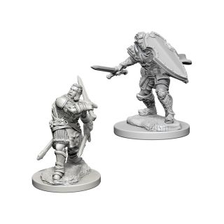 D&D Nolzur’s Marvelous Unpainted Minis: Human Male Paladin (72629)