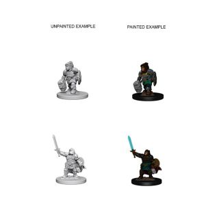D&D Nolzur’s Marvelous Unpainted Minis: Dwarf Female Paladin (72631)