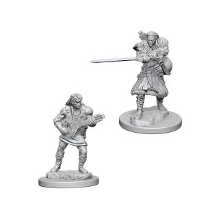 D&D Nolzur's Marvelous Unpainted Minis: Human Male Bard (72632)