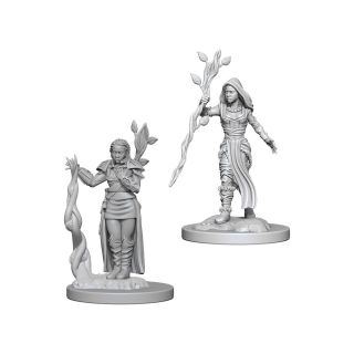 D&D Nolzur’s Marvelous Unpainted Minis: Human Female Druid (72640)