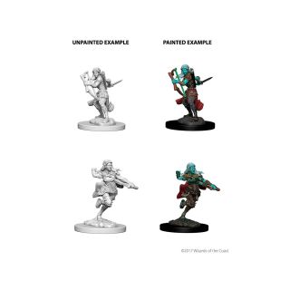 D&D Nolzur's Marvelous Miniatures - Air Genasi Female Rogue (73204)
