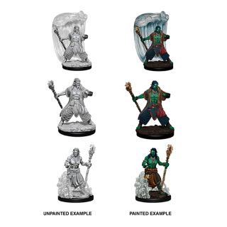 D&D Nolzur's Marvelous Miniatures - Water Genasi Male Druid (73337)