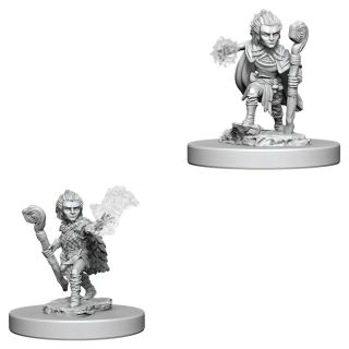 Pathfinder Deep Cuts Unpainted Miniatures: Gnome Male Druid (73346)