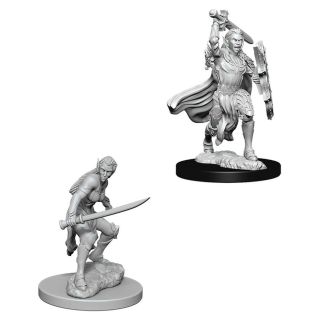 D&D® Nolzur's Marvelous Miniatures: Female Elf Fighter (73385)