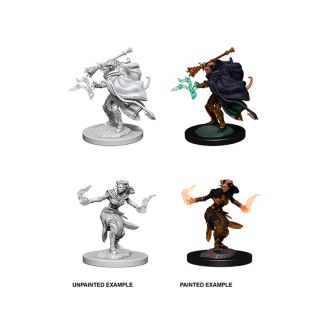 D&D Nolzur's Marvelous Miniatures: Female Tiefling Warlock (73389)
