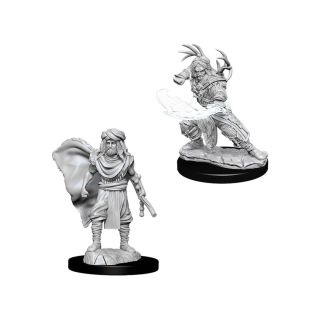 D&D Nolzur's Marvelous Miniatures: Male Human Druid (73390)