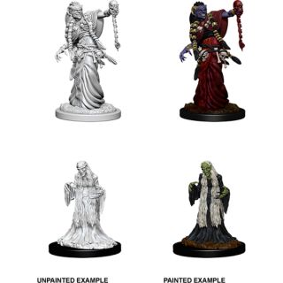 D&D Nolzur's Marvelous Miniatures: Green Hag & Night Hag (73402)