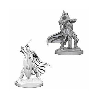 Pathfinder Battles Deep Cuts: Female Knights / Gray Maidens (73425)