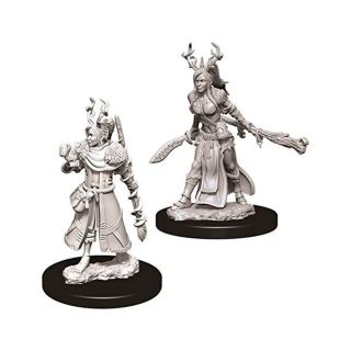 D&D® Nolzur's Marvelous Miniatures -  Female Human Druid (73701)