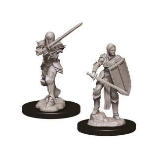 D&D® Nolzur's Marvelous Miniatures -  Female Human Fighter (73705)