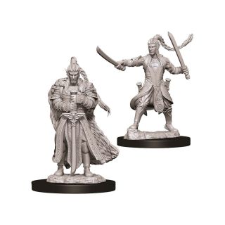 D&D® Nolzur's Marvelous Miniatures -  Male Elf Paladin (73707)