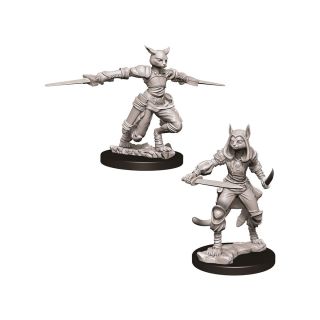 D&D® Nolzur's Marvelous Miniatures -  Female Tabaxi Rogue (73708)