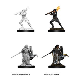 D&D Nolzur's Marvelous Miniatures -  Female Human Paladin (73830)