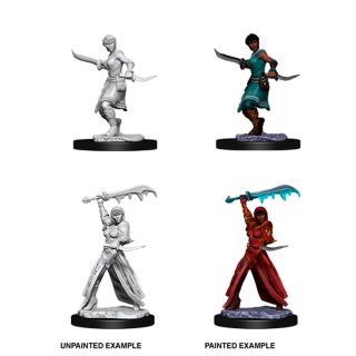 D&D Nolzur’s Marvelous Unpainted Minis: Female Human Rogue