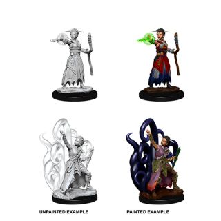 D&D Nolzur's Marvelous Miniatures -  Female Human Warlock (73837)