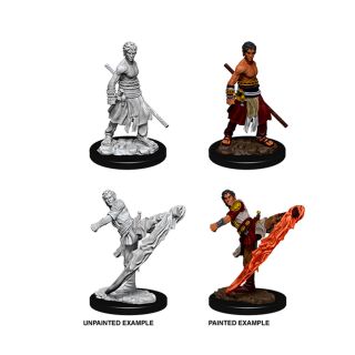 D&D Nolzur's Marvelous Miniatures -  Male Half-Elf Monk (73838)