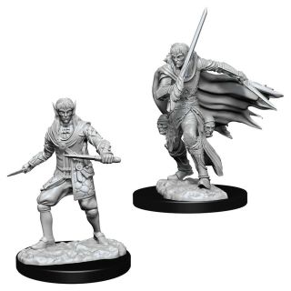 Pathfinder Deep Cuts - Male Elf Rogue (73854)