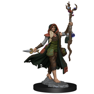 D&D Frameworks: Human Druid Female ** Special Offer **