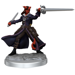 D&D Frameworks: Tiefling Rogue Female ** Special Offer **
