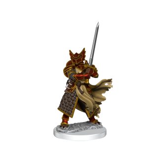 D&D Frameworks: Dragonborn Paladin Male ** Special Offer **