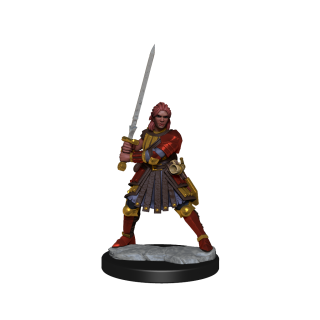 D&D Frameworks: Human Fighter Female ** Special Offer **