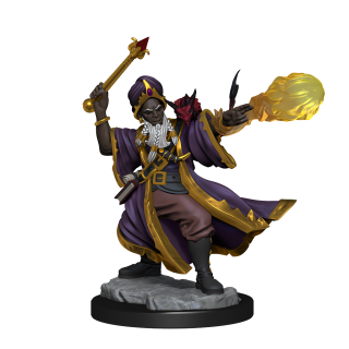 D&D Frameworks: Human Wizard Male ** Special Offer **