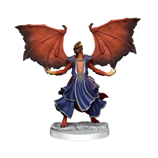 D&D Frameworks: Dragonborn Sorcerer Female ** Special Offer **