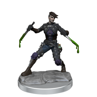 D&D Frameworks: Human Rogue Female ** Special Offer **