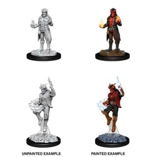 D&D Nolzur's Marvelous Miniatures: Male Tiefling Sorcerer (90058)