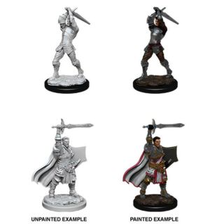 D&D Nolzur's Marvelous Miniatures: Male Human Paladin (90060)