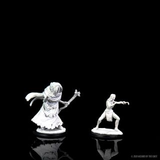 D&D Nolzur's Marvelous Miniatures: Sea Hag & Bheur Hag (90072)