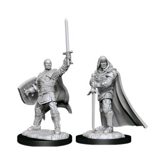 D&D Nolzur's Marvelous Miniatures: Human Paladin Male (90136)