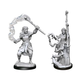 D&D Nolzur's Marvelous Miniatures: Firbolg Druid Female (90146)