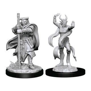 D&D Nolzur's Marvelous Miniatures: Hobgoblin Devastator & Hobgoblin Iron Shadow (90159)