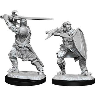 D&D Nolzur's Marvelous Miniatures: Human Paladin Male (90220)