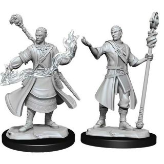 D&D Nolzur's Marvelous Miniatures: Half-Elf Wizard Male (90229)