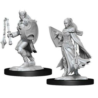 D&D Nolzur's Marvelous Miniatures: Kalashtar Cleric  Female (90233)