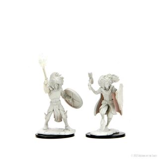 D&D Nolzur's Marvelous Miniatures: Changeling Cleric (90237)
