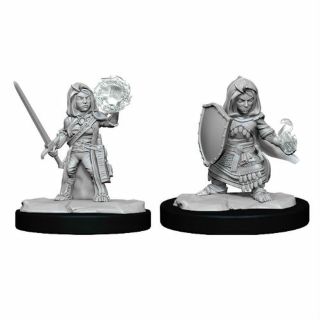 Pathfinder Deepcuts: Halfling Cleric Female  (90261)